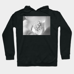 White Magnolia Hoodie